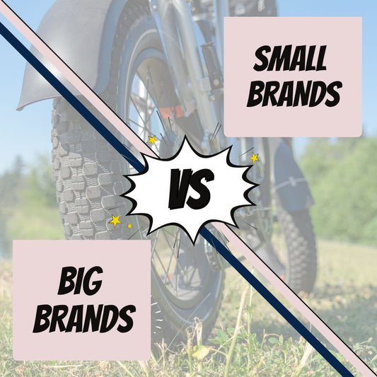 Buying E-Bikes: Big Brands vs Small Brands