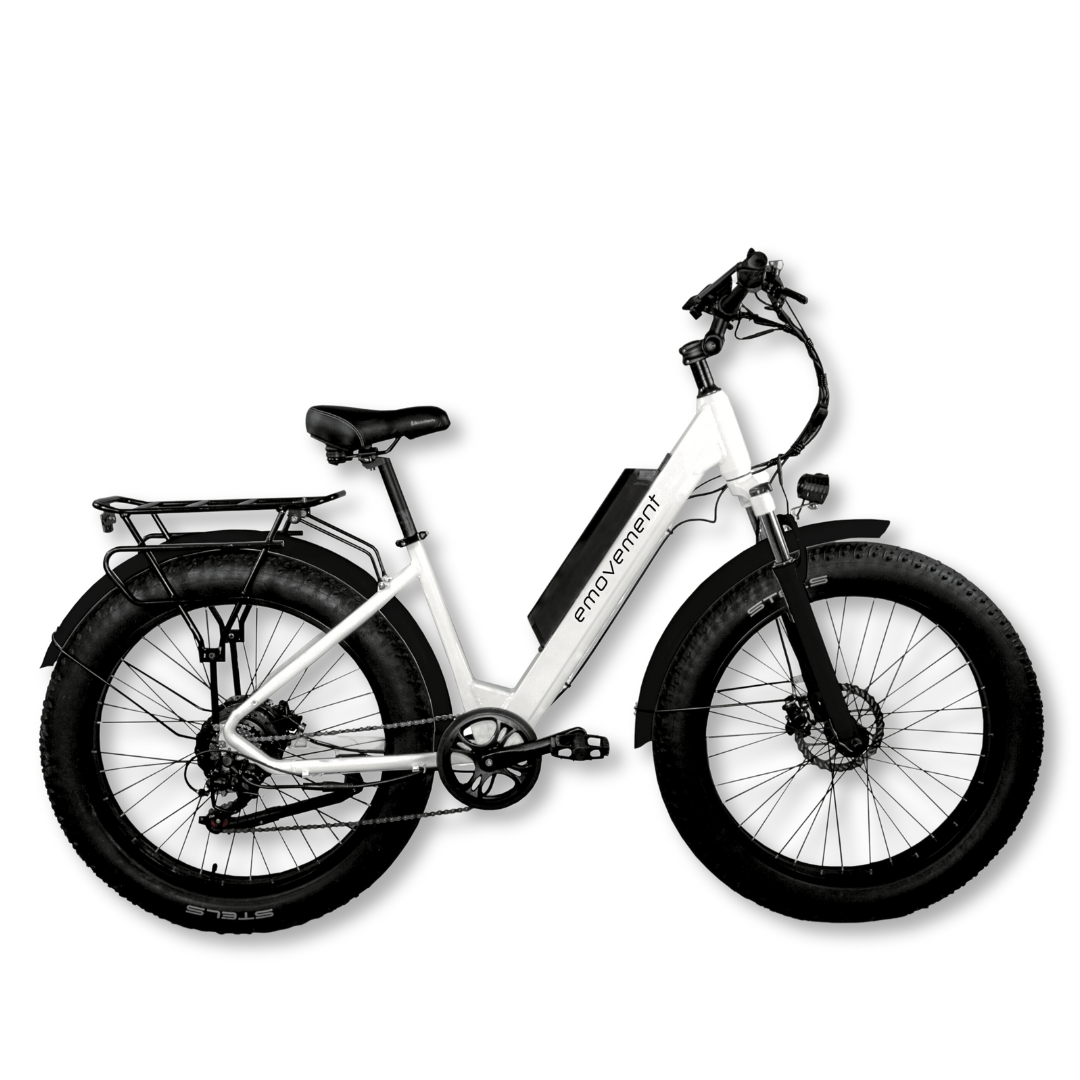 E-MOVEMENT ARIES Fat Tyre eMTB Mountain eBike 500W White