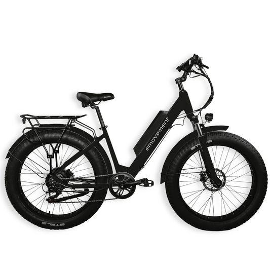 E-MOVEMENT ARIES Fat Tyre eMTB Mountain eBike 500W Black