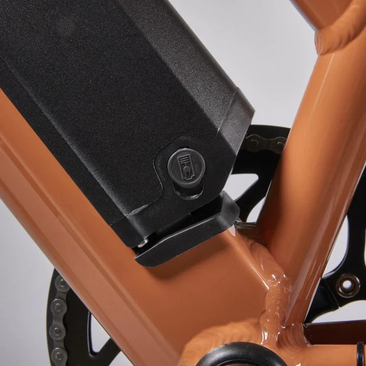 Juicy Bike Roller Hybrid Step Through eBike