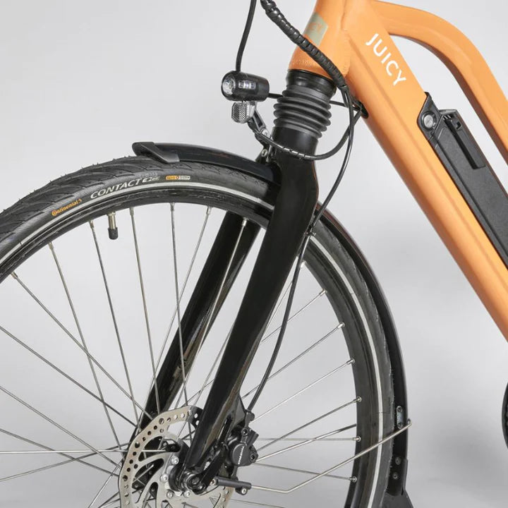 Juicy Bike Roller Hybrid Step Through eBike