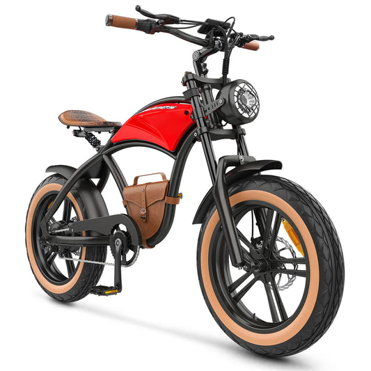 Hidoes B10 Retro 1000W Electric Bike